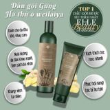 Bộ Dầu Gội Xả Gừng Weilaiya