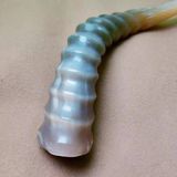 ĐỒ TRANG TRÍ SỪNG ĐỘNG VẬT TỰ NHIÊN Kích thước: dài khoảng 30cm