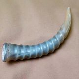 ĐỒ TRANG TRÍ SỪNG ĐỘNG VẬT TỰ NHIÊN Kích thước: dài khoảng 30cm