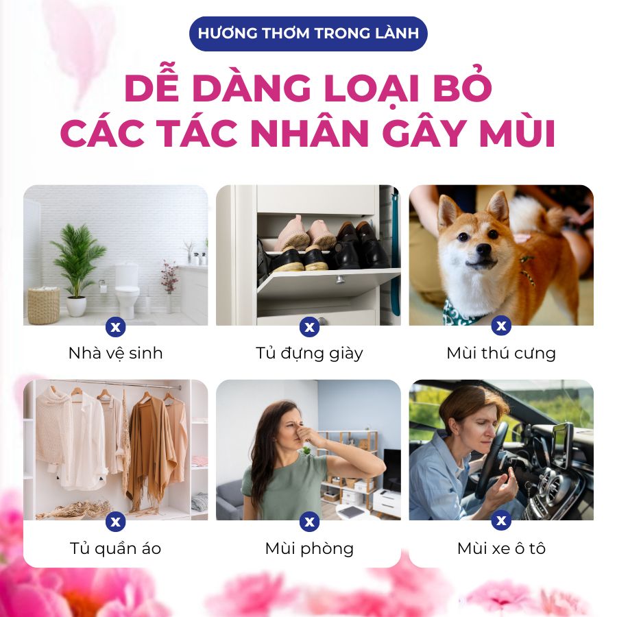 Túi thơm Hygiene Thái Lan hương nước hoa 8g