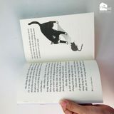 Sách - Chuyện con mèo và con chuột bạn thân của nó (Tái bản)
