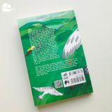 Sách - Bồ câu bay đi tìm bà (Tái bản)