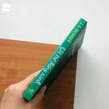 Sách - Bắt Trẻ Đồng Xanh (Tái bản)