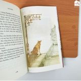 Sách - Hachiko - Chú chó đợi chờ (Tái bản)