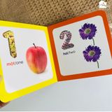 Sách bìa cứng cho bé 0-6 tuổi - Từ điển hình ảnh cho bé