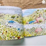 Sách - Bộ truyện Sói xám