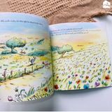 Sách - Bộ truyện Sói xám
