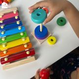 Đồ chơi gỗ - Bộ 6 Món (7 sắc cầu vồng)