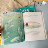 Sách cho bé 3 - 6 tuổi - Chú Gấu Bắc cực