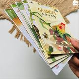 Sách - Bộ truyện thơ Từ những hạt mầm (Combo 5 cuốn) - Tái bản