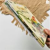 Sách - Bộ truyện thơ Từ những hạt mầm (Combo 5 cuốn) - Tái bản