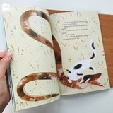 Sách - Cái Tết của mèo con