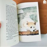 Sách - Hachiko - Chú chó đợi chờ (Tái bản)