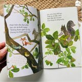 Sách - Bộ truyện thơ Từ những hạt mầm (Combo 5 cuốn) - Tái bản