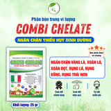 Phân bón trung vi lượng COMBI CHELATE