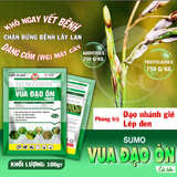 SUMO VUA ĐẠO ÔN CẢI TIẾN