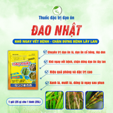 SUMO ĐAO NHẬT