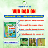 SUMO VUA ĐẠO ÔN