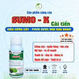 Sản phẩm cứng cây SUMO K Cải Tiến