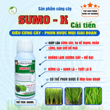 Sản phẩm cứng cây SUMO K Cải Tiến