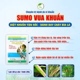 SUMO VUA KHUẨN
