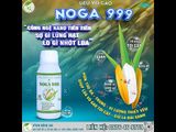 Siêu vô gạo NOGA 999