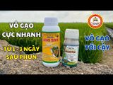 Điều hòa sinh trưởng ARISOTIN