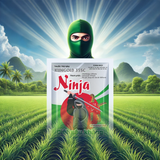 NINJA