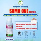 Sản phẩm nuôi đòng SUMO ONE cải tiến