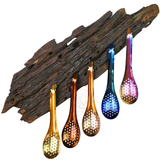 Spherification Spoon - Muỗng vớt viên sốt và bọt sốt
