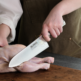 Dao bếp Nhật cao cấp Global GF33 Chef - Dao thái thịt cá (210mm)