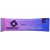 Endurance Fuel Berry 2 serving
