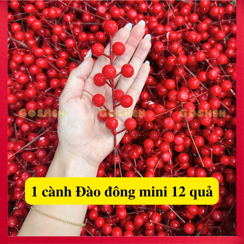 Cành Đào Đông, Nhánh Đào Đông Trang Trí Tết, Giỏ Quà Bó Hoa, Vòng Nguyệt Quế