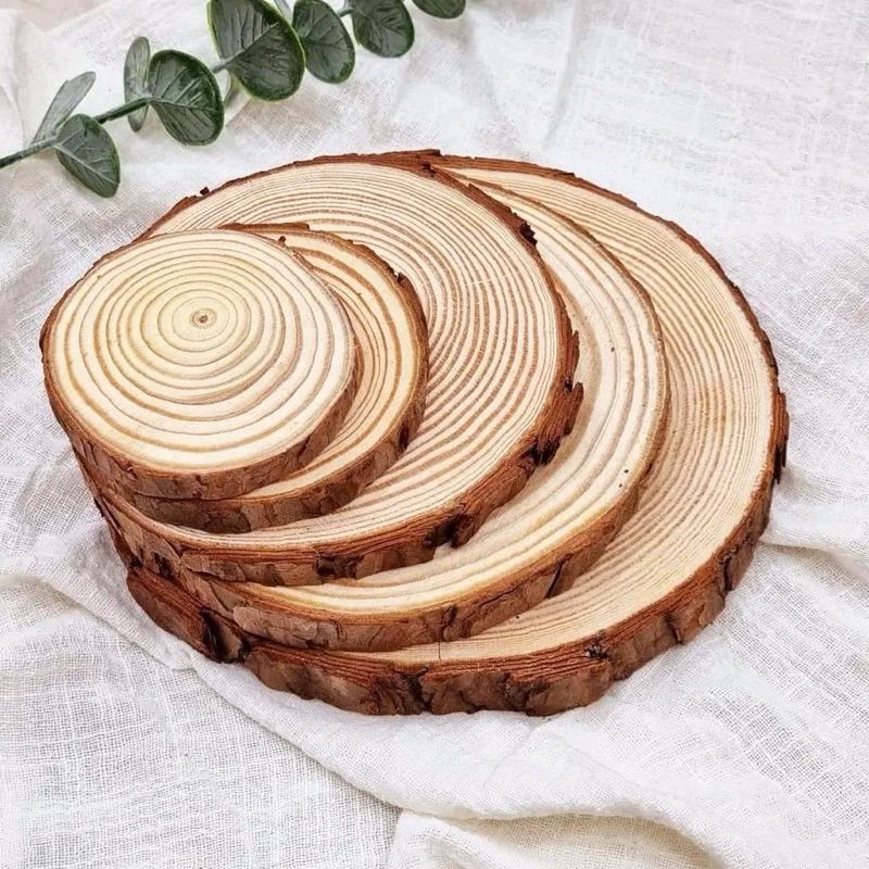 Đế Gỗ, Lót Gỗ Làm Cây Thông, Decor Trang Trí Đạo Cụ Chụp Ảnh
