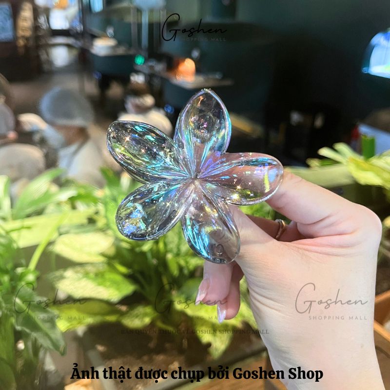 Kẹp 8cm-Hoa Sứ, Kẹp Tóc Càng Cua Hình Nơ Hologram Ngọt Ngào Phong Cách Hàn Quốc