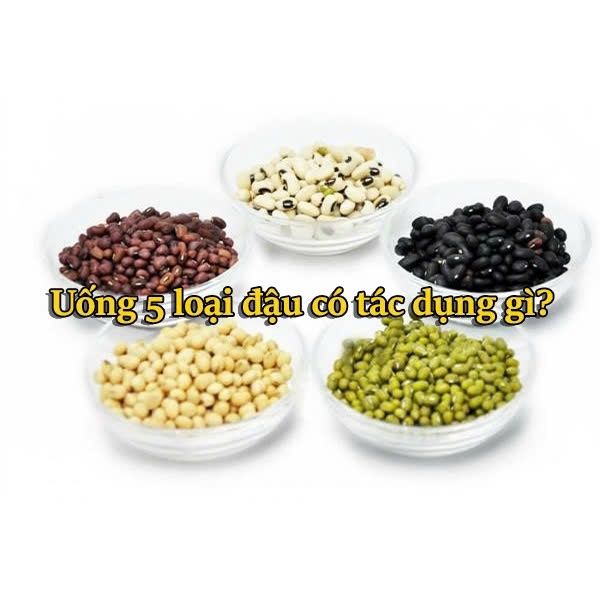 Bột 5 Thứ Đậu Nhân Sen NGUYÊN CHẤT Thanh Long Uống Liền Lotus Bean Mix Powder 10 gói x35gr
