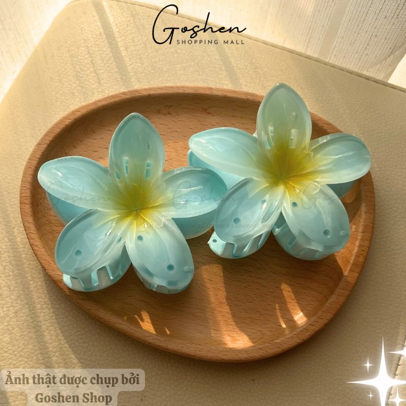(Màu Mới) Kẹp Hoa Sứ Đủ Màu, Kẹp Hoa Sứ Tráng Gương, Hologram 8cm