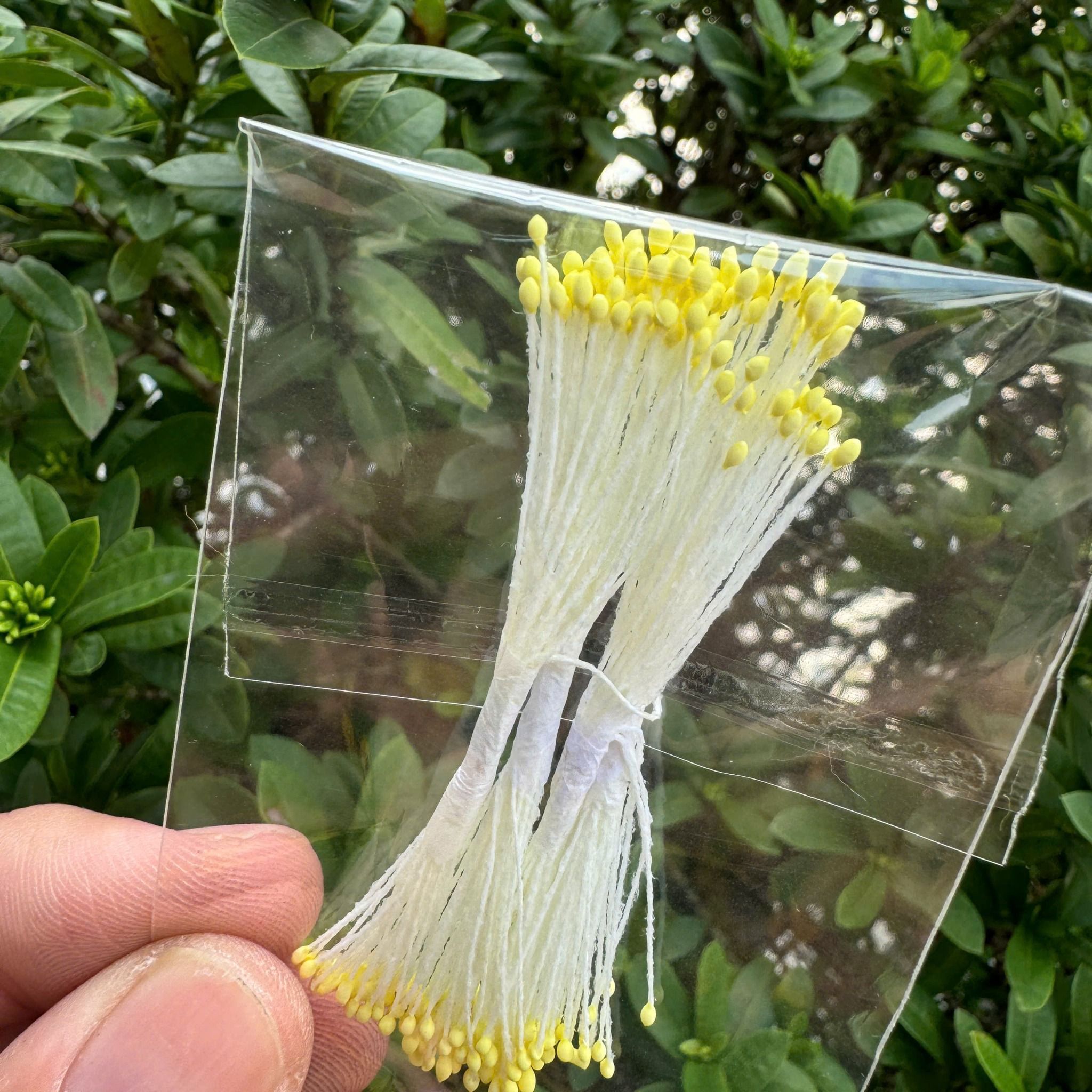 Nhụy hoa, nhuỵ bột làm hoa mai, đào, mẫu đơn, hoa handmade
