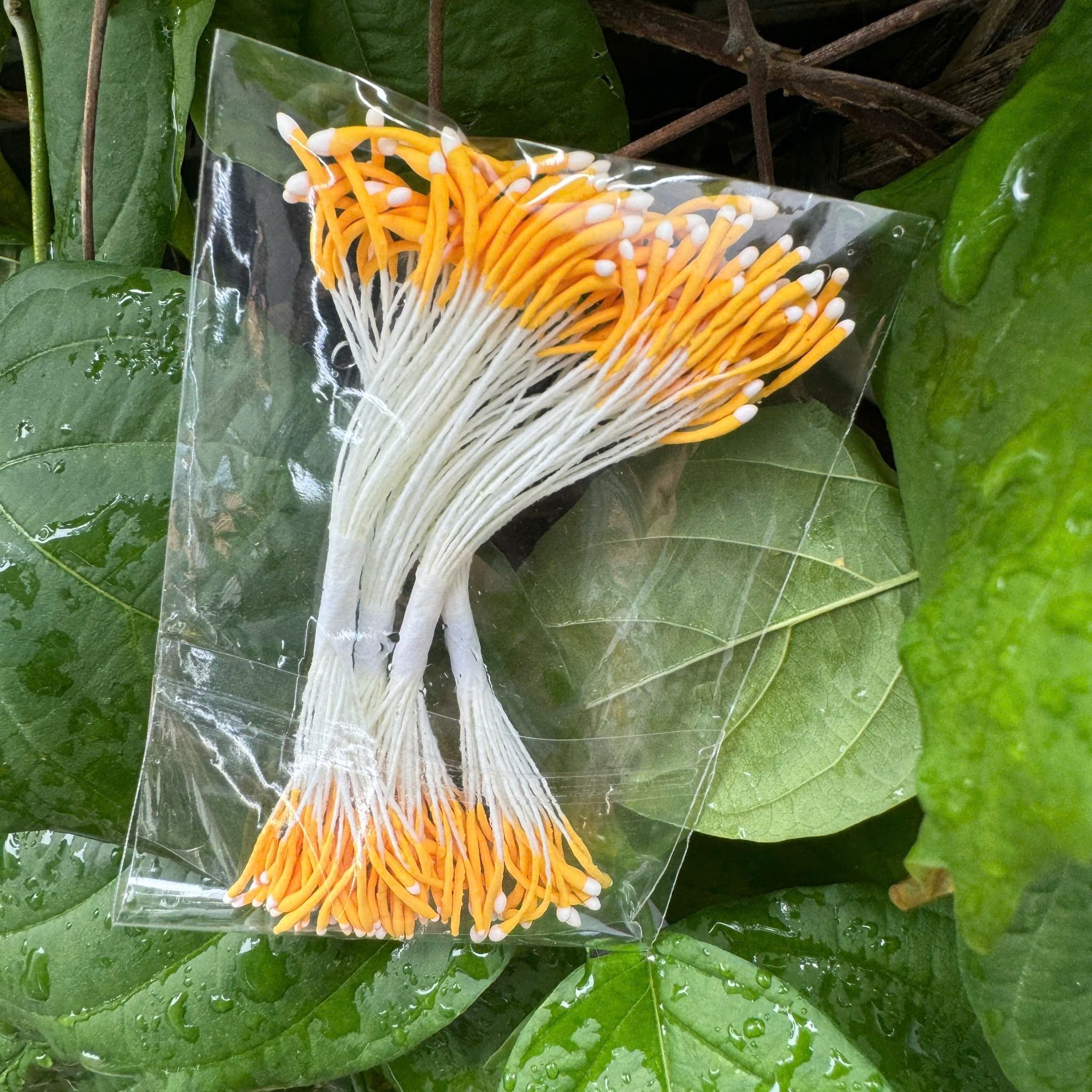Nhụy hoa, nhuỵ bột làm hoa mai, đào, mẫu đơn, hoa handmade