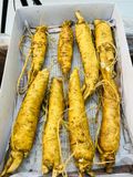 Sâm Trọc Hàn Quốc - Sản Phẩm Sâm tươi Hàn Quốc - Loại 10 củ 1 Kg