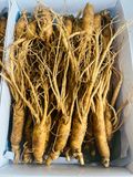 Sâm tươi Hàn Quốc Hầm Gà 20-30 củ/kg