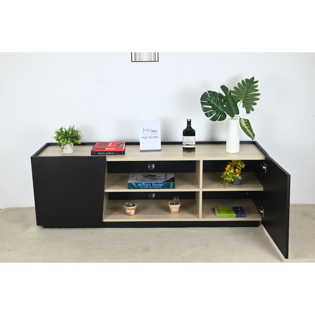 HAPPY FURNITURE , Kệ TV 2 cửa mở - VIGGO , KTV_048 , 160cm x 40cm x 54cm