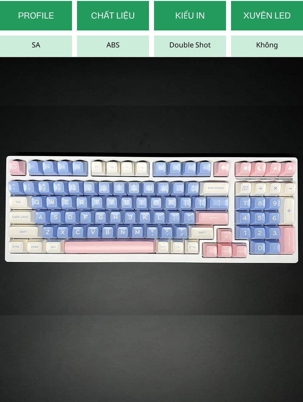 ABS Blue Pink - SA - Double Shot