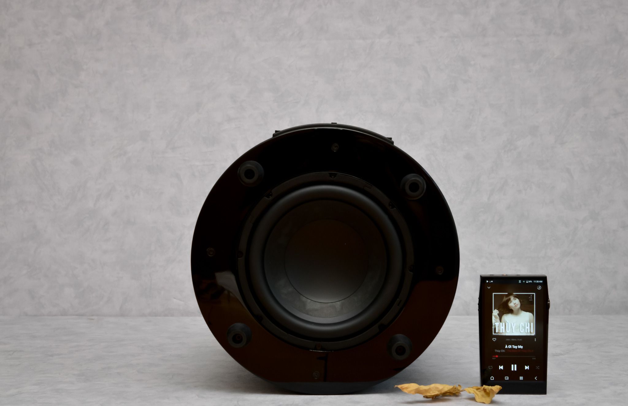 Mở hộp Loa Subwoofer Elipson Planet Sub