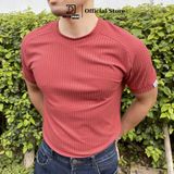 Áo thun nam 100% cotton DATAMAN, co giãn 4 chiều, thoáng mát, tay raglan trẻ trung - ATCT22-01