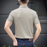 Áo thun POLO nam cổ chữ V, có ve lật DATAMAN, chất cotton đũa co giãn 4 chiều, thoáng mát - ATPL22-01