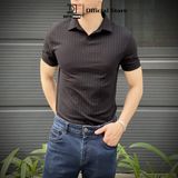 Áo thun cổ bẻ POLO nam DATAMAN, chất liệu cotton đũa co giãn, thấm hút mồ hôi - ATPL22-01