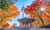 Tour Hàn Quốc - 5N4Đ: Seoul - Namsan Tower - Trượt tuyết Elysian Ski Resort - Everland