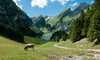Tour Tây Âu (6 nước): Đức - Thuỵ Sĩ - Hà Lan - Bỉ - Luxembourg - Pháp