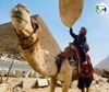 AI CẬP - VÙNG ĐẤT CỦA NHỮNG VỊ THẦN: CAIRO - ASWAN - LUXOR 8N7D